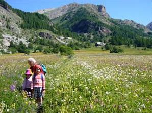 rando famille avec âne dans les Alpes du sud avec Itinerance